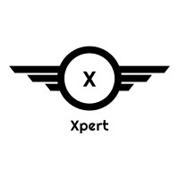 Xpert SEO Team logo - Similar company to Pro Web And Seo