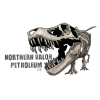 Northern Valor Petroleum Ltd. logo - Similar company to Nortrans Freight Management