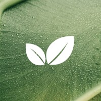Kebun Organik SUMA logo - Similar company to Katsae