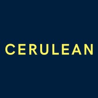 Cerulean logo - Similar company to Integrated Resources