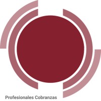 PROFESIONALES | Collections DR - Latam logo - Similar company to Vitaltech Dominicana