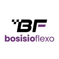 Bosisio Flexo S.A. logo - Similar company to Studio Enne