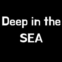 Deep in the SEA logo - Similar company to Due Emme