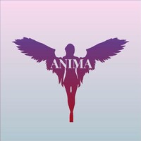 Anima Marketing Agency