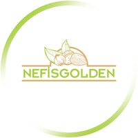 NEFIS GOLDEN logo - Similar company to Nefis