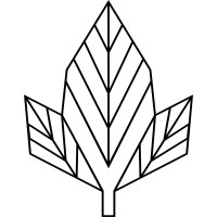 Ninebark Creative Consulting