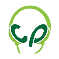 City Pirates logo - Similar company to Bfab Group - Helping Smes To Digitalize And Grow