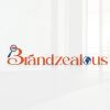 Brandzealous logo - Similar company to Chethan S