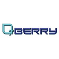QBERRY LLC logo - Similar company to Telorca Llc