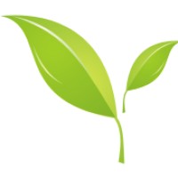 Digital Leaf logo - Similar company to Digitalleaf