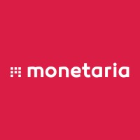 Monetaria logo - Similar company to Monetaris
