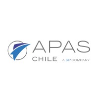 A PROFESSIONAL AVIATION SERVICES CHILE logo - Similar company to Visionair Technics, Aviation And Engineering. O.E.