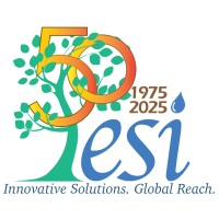 ESI logo - Similar company to Moonlet Media