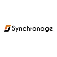 Synchronage logo - Similar company to B2Techsoft Llc