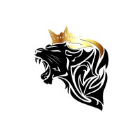 Black Leo Med-Tech logo - Similar company to Project Bhawna