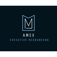 Amex Executive Resourcing logo - Similar company to Spearhead Group