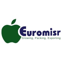 Euromisr logo - Similar company to Light Logistics