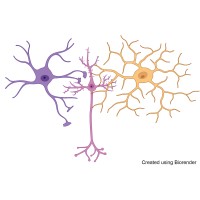 Stem Cell Models for Neurodegeneration logo - Similar company to Deepcyte
