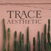 Trace Aesthetic logo - Similar company to Foster/White Gallery
