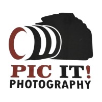 Pic-It Club logo - Similar company to Dyndox Technologies