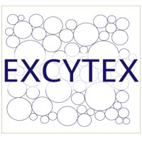 Excytex logo - Similar company to Scellex
