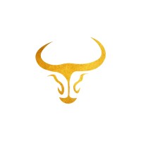 MIZIZI International logo - Similar company to Coaching Founder