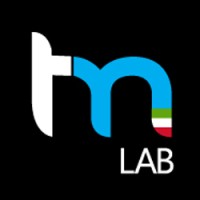 TMLAB part of Spindox | salesforce specialist logo - Similar company to Salesforce, Sage Crm, Successfactors, Taleo, Sage 100, Sage 300, Power Bi Specialist