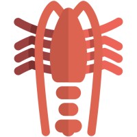 Open Seas logo - Similar company to Biodivearth