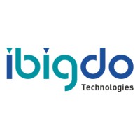 IBIGDO TECHNOLOGIES logo - Similar company to Webwise Lab