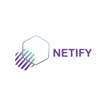 Netify Hub logo - Similar company to Netify Solutions