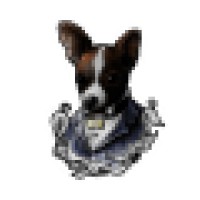 Biscuit Beast Dog Co logo - Similar company to Barklee'S Bakehouse