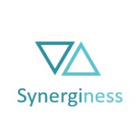 Synerginess logo - Similar company to Synergine S.R.O.
