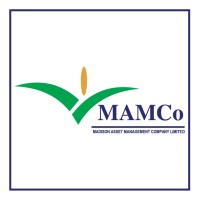 Madison Asset Management Company Ltd logo - Similar company to Benefits Consulting Services Limited