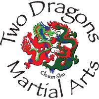 Two Dragons Martial Arts Studio logo - Similar company to Master Cutlery