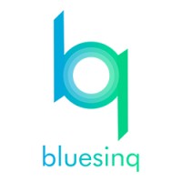 Bluesinq Automations Pvt. Ltd. logo - Similar company to Eka Engineering Technics Private Limited