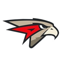 Hockey Club Avangard