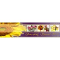 Something Special Florist logo - Similar company to Innova Valores