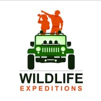 Wildlife Expeditions logo - Similar company to Polaris Studio