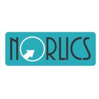 Norlics Digital Services logo - Similar company to Goje