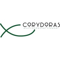 Corydoras logo - Similar company to Dadupa