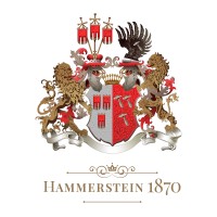 Hammerstein Group GmbH logo - Similar company to Mindworker Llc
