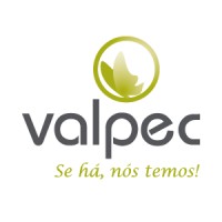VALPEC logo - Similar company to Grupo Flux