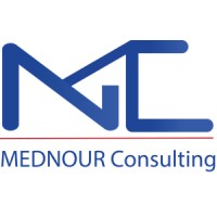 MedNour Consulting logo - Similar company to Flytech
