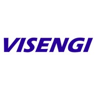 VISENGI logo - Similar company to Raiderchip