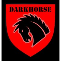 DARKHORSE SOLUTIONS, LLC logo - Similar company to Darkhouse Designs