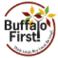 Buffalo First logo - Similar company to Buffalo Alarm