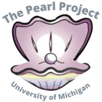 The Pearl Project logo - Similar company to The Pearl Project