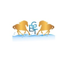 Book Georgia Travel logo - Similar company to Another Africa