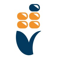 BNT Banca logo - Similar company to Rent2Go