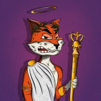 Feisty Foxes NFT logo - Similar company to Babylons Nft Platform & Launchpad